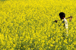 featured-img