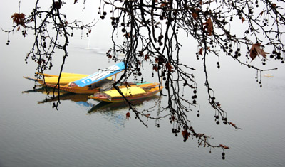 featured-img