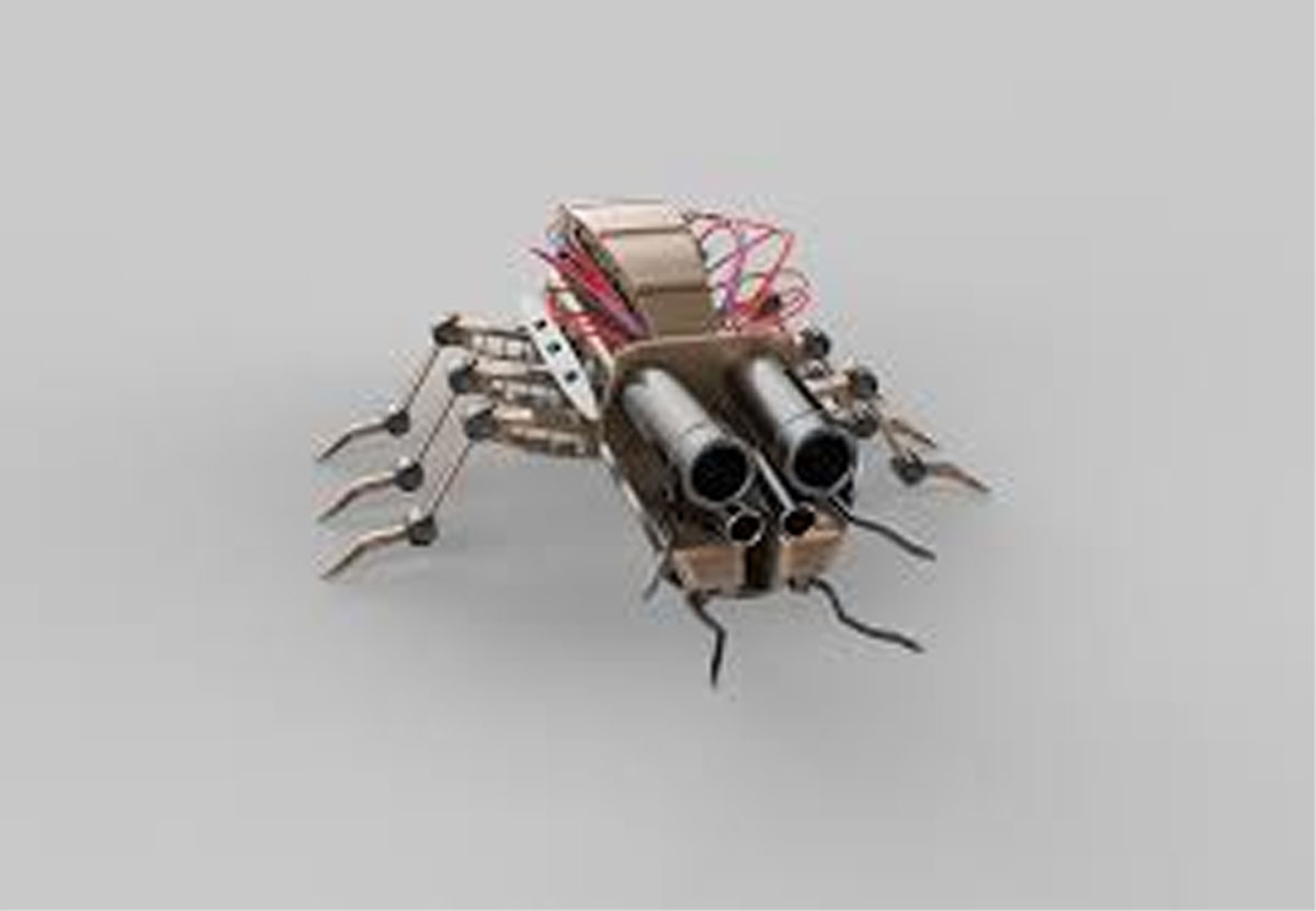 New insect-sized robot can withstand weight of a human - Daily Excelsior