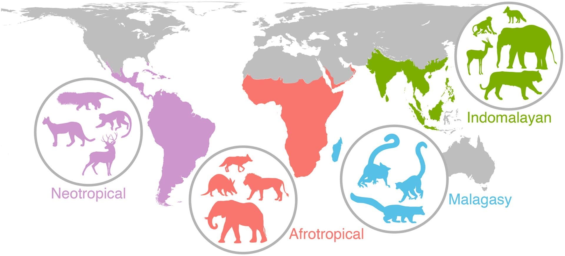 Ancient climate, human events from 20,000 years ago are still impacting ...