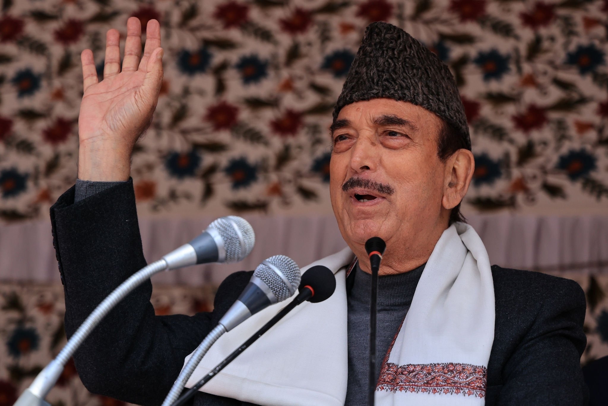 Unity Development Party Logo Peace, Unity And Development Only Agenda Of DPAP: Azad - Daily Excelsior