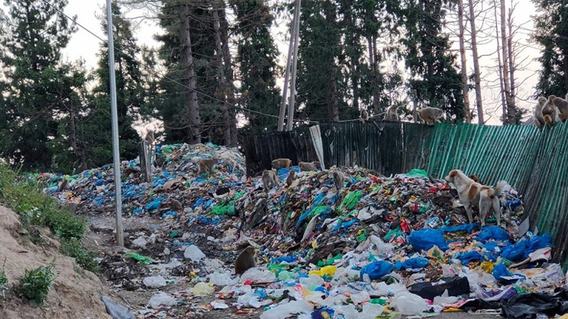 Poor performance by J&K ULBs for solid waste management - Daily Excelsior